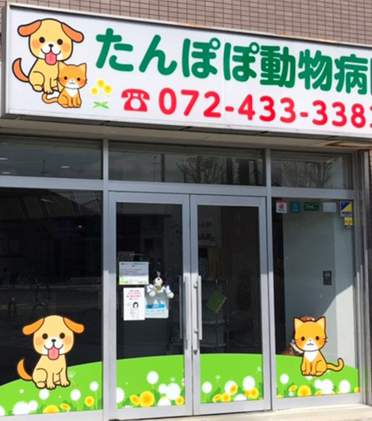 たんぽぽ動物病院 大阪府貝塚市の動物病院